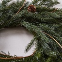 CORONA PINO 50 (PACK X 2)