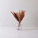 VARA SAMBURU MARRON (PACK X 3)