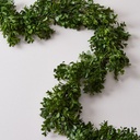 03 GUIRNALDA BUXUS