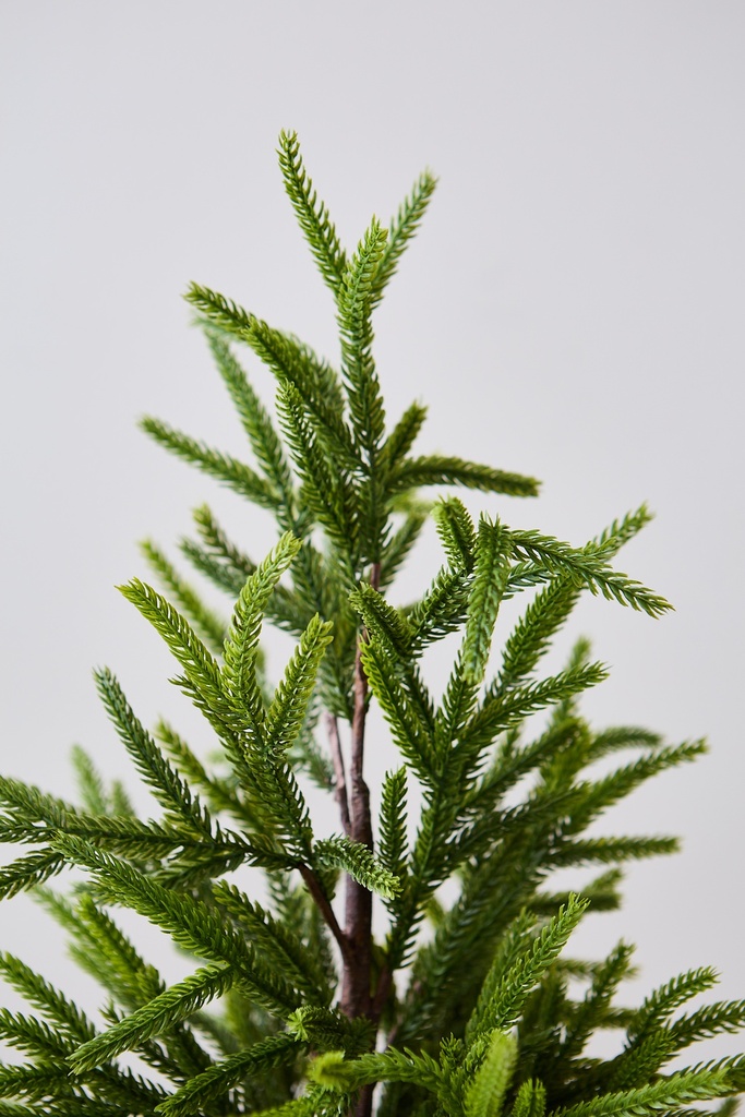 ARBOL PINO 1M
