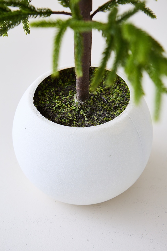 ARBOL PINO 1M