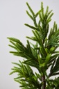 ARBOL PINO 90CM