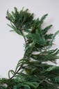 DECOR PARED MIX PINO 2M FAT