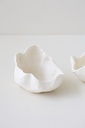 BOWL CORAL SET X 2