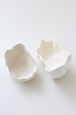 BOWL CORAL SET X 2