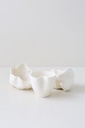 BOWL CORAL SET X 2