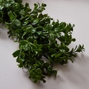 03 GUIRNALDA BUXUS
