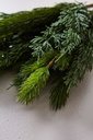 07 RAMO NAVIDEÑO 40 COMB (PACKX2)
