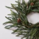 CORONA PINO 50 (PACK X 2)