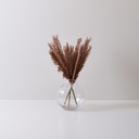 VARA SAMBURU MARRON (PACK X 3)