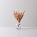 VARA SAMBURU TOSTADO (PACK X 3)