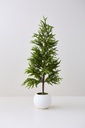 ARBOL PINO 1M