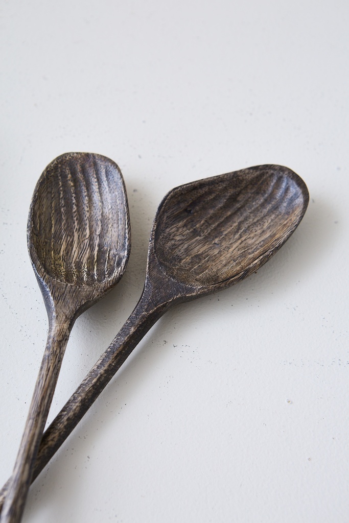 CUCHARA COLIBRI SET X 2