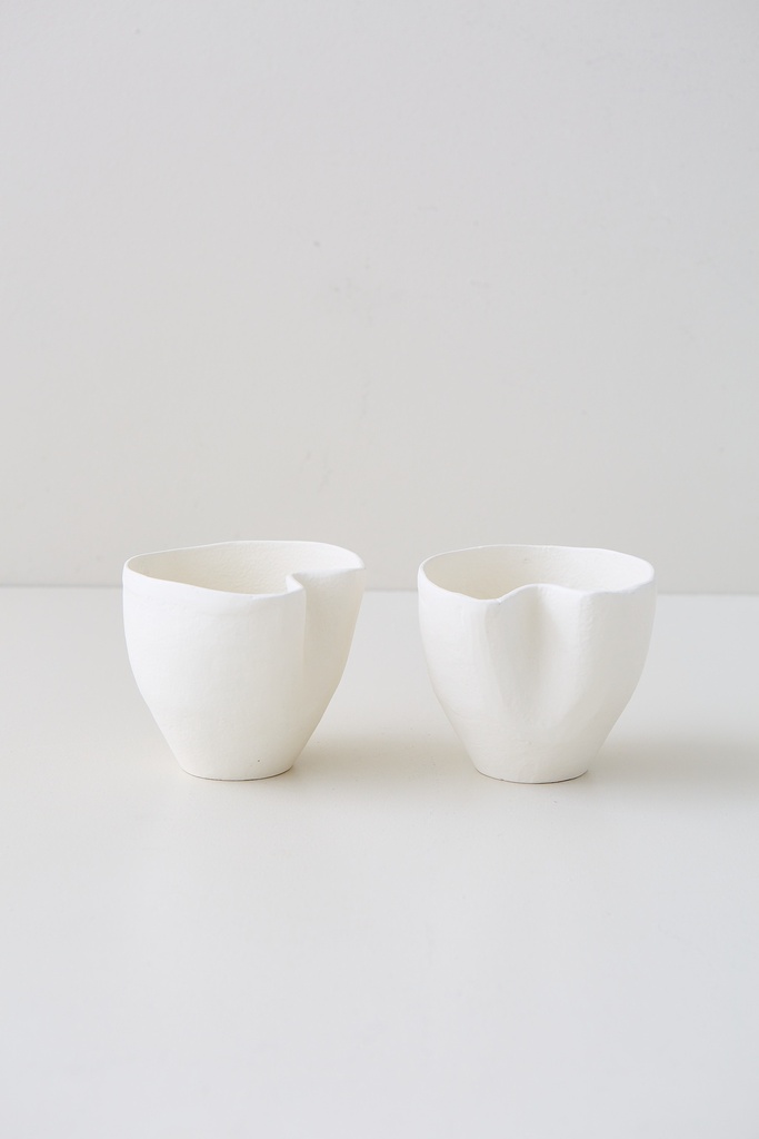 BOWL ARRECIFE (PACK X 2)