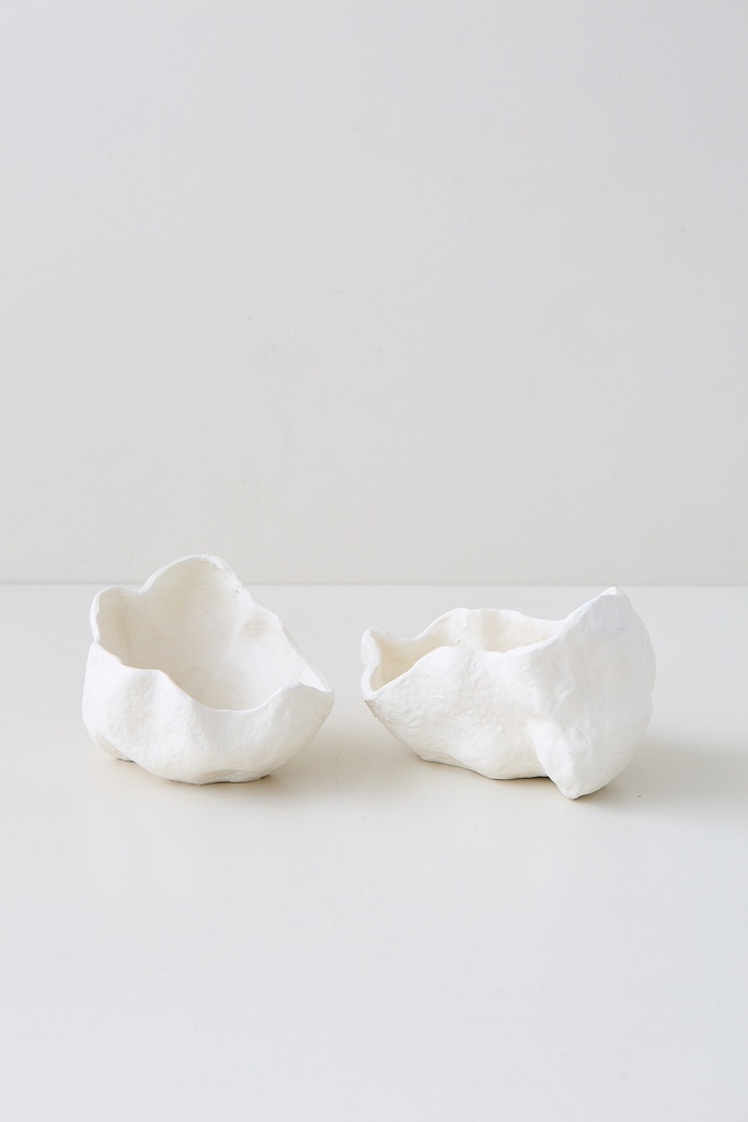 BOWL CORAL SET X 2