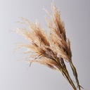 VARA BENIN TOSTADO (PACK X 3)