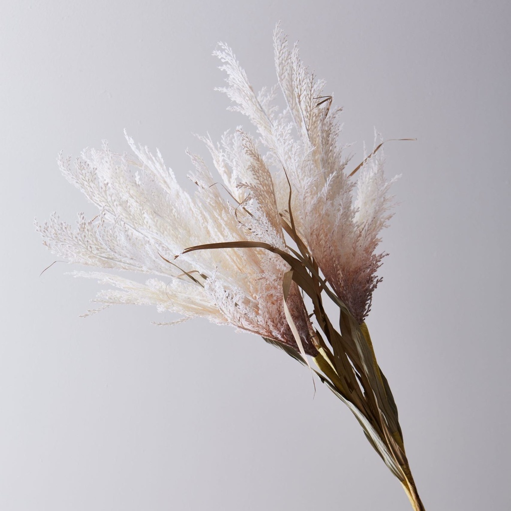 VARA BURUNDI BEIGE (PACK X 3)