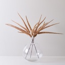 VARA PIGMEOS TOSTADO (PACK X 3)