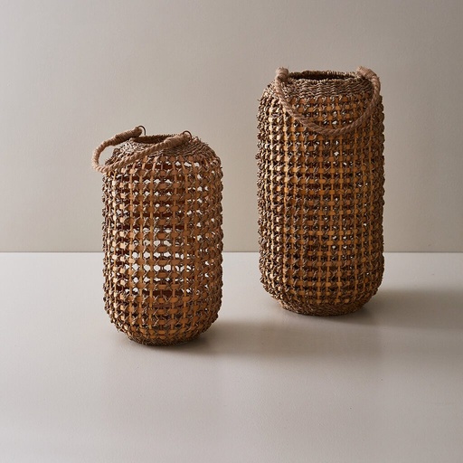 [AAC01NA3347] FANAL BELLI L