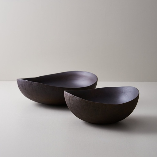 [DAF11NM5398] BOWL COMO SET X 2
