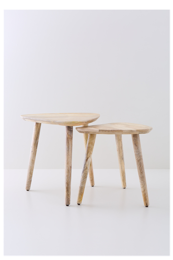 [0632829901185] MESA CAMELIA SET X 2