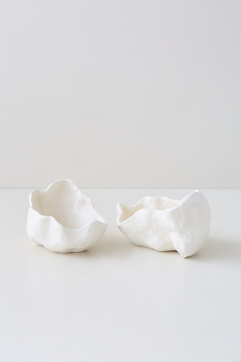 [0632829899932] BOWL CORAL SET X 2