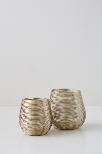 [0632829900157] FANAL NIDO SET X 2