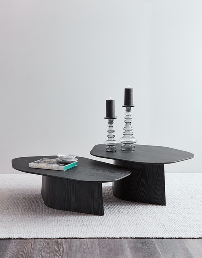 [0632829929066] MESA TIND SET X 2