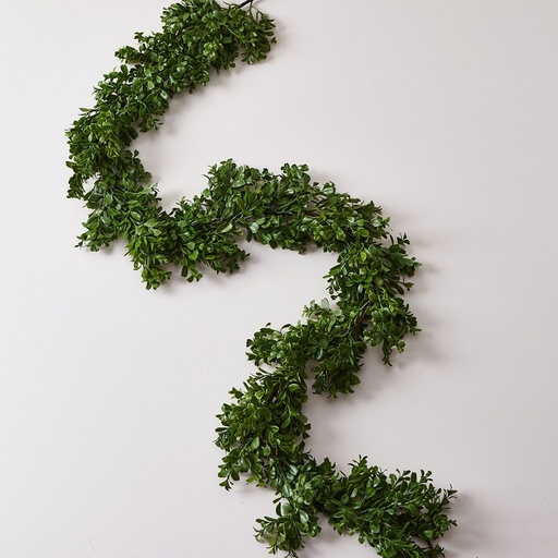 [IBG14VE6544] 03 GUIRNALDA BUXUS