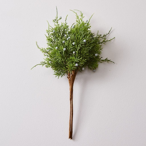 [0632829892520] 06 RAMO NAVIDEÑO 41 (PACKX2)