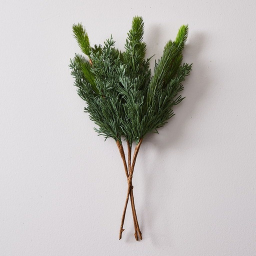 [0632829892544] 07 RAMO NAVIDEÑO 40 COMB (PACKX2)