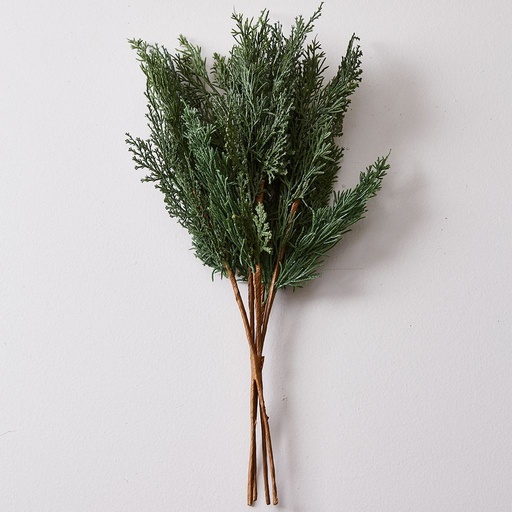 [0632829892582] 09 RAMO NAVIDEÑO 48 (PACKX2)